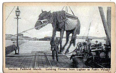 LandinghorseStanley1915
